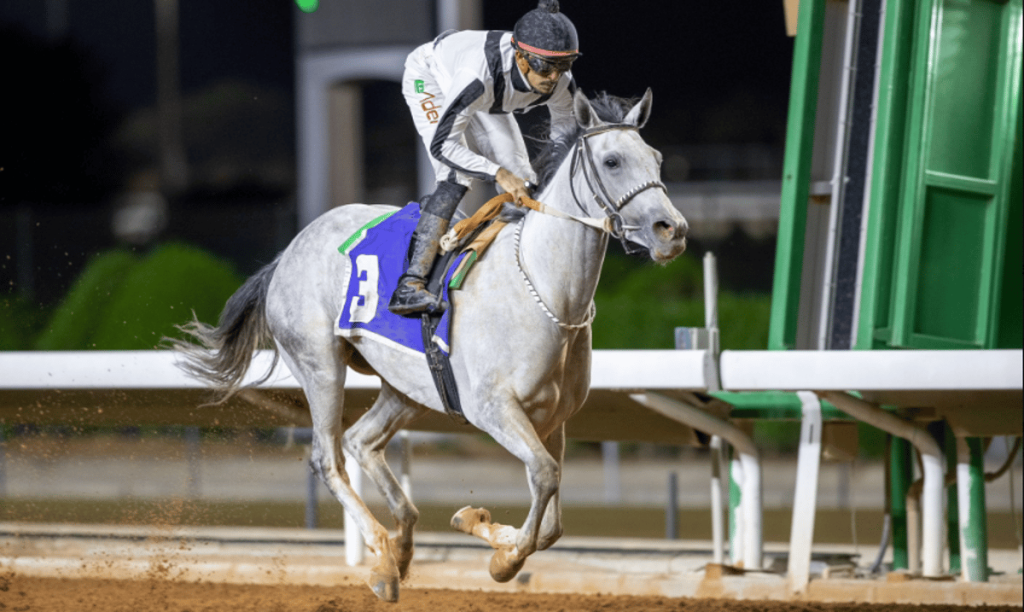 منافسات مميزة شهدها الأسبوع الثالث من موسم سباقات الرياض