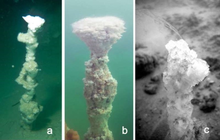 مجموعات من المداخن الملحية التي تشكلت في أعماق البحر الميت (ساينس أوف ذا توتال إنفايرومنت)