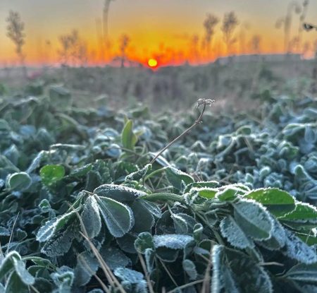 بدرجتين مئويتين تحت الصفر.. طريف تسجل أقل درجة حرارة بالمملكة
