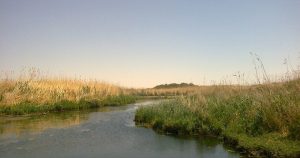 في الأردن.. عظام “حوض الأزرق” تكشف عن شكل الحياة قبل 12 ألف سنة