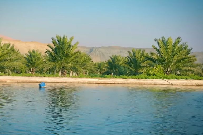 تعثرت الخطط الزراعية في مناطق الأغوار الشمالية، المعتمدة على مياه نهر اليرموك.. الجزيرة نت