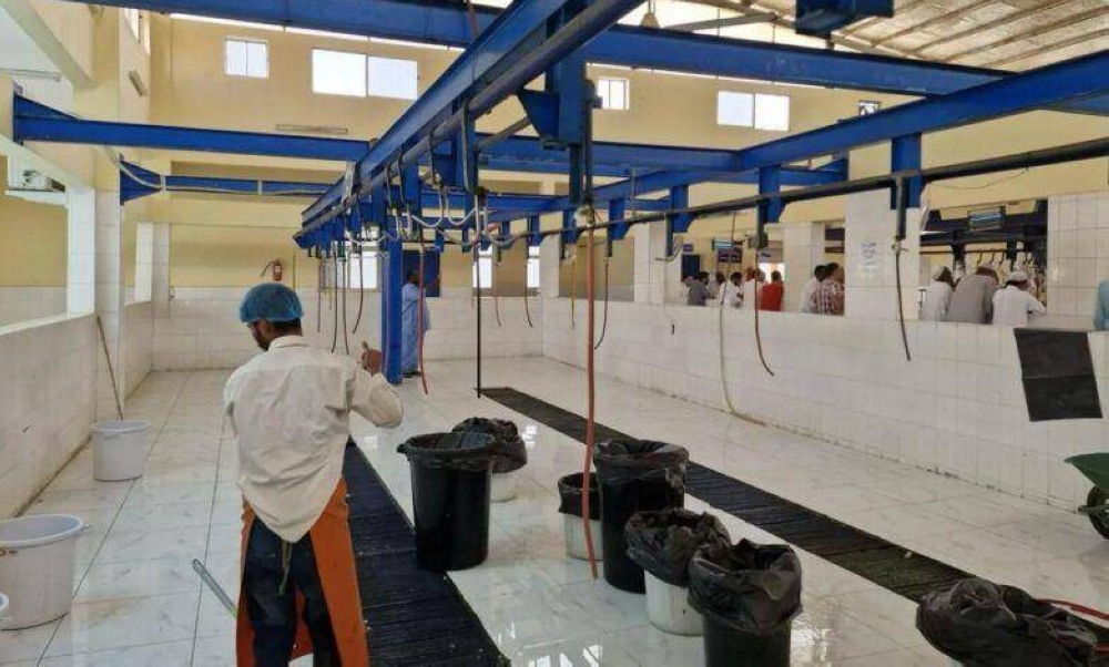 6,594 أضحية في مسالخ نجران خلال عيد الأضحى