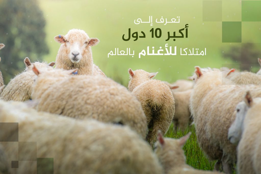 تعرف إلى أكبر 10 دول امتلاكا للأغنام بالعالم بينها بلد عربي
