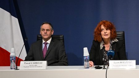 “المجوهرات لم تُسترجع بعد”.. المدعية العامة في باريس: اعتراف جزئي لمشتبهَين بسرقة متحف اللوفر