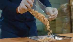 «الضريبة والجمارك»: إحباط تهريب 48 ألف حبة من الإمفيتامين المخدر «الكبتاجون»