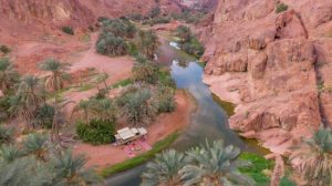 حائل.. من مشهد الطبيعة إلى شاشة العالم