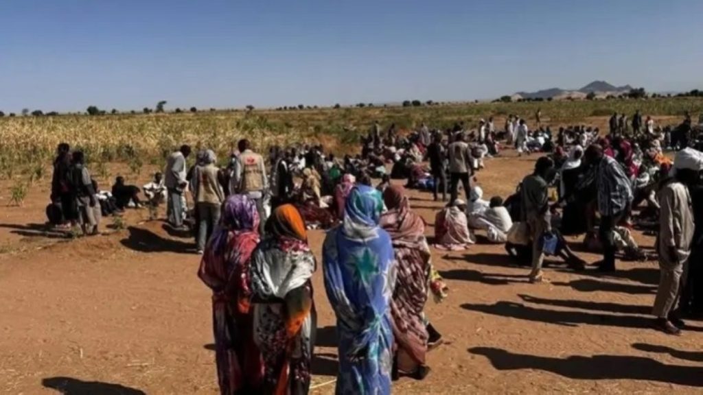 مصر ترفض مخططات تقسيم السودان