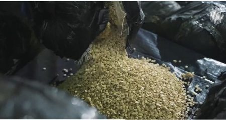 إحباط تهريب أكثر من 5.3 مليون حبة من الإمفيتامين المخدر في ميناء الملك عبدالعزيز