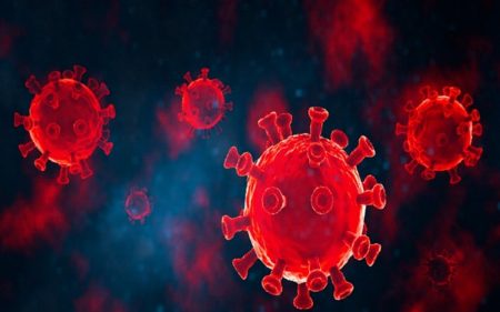 اكتشاف فيروس كورونا جديد في البرازيل قد يهدد بجائحة محتملة