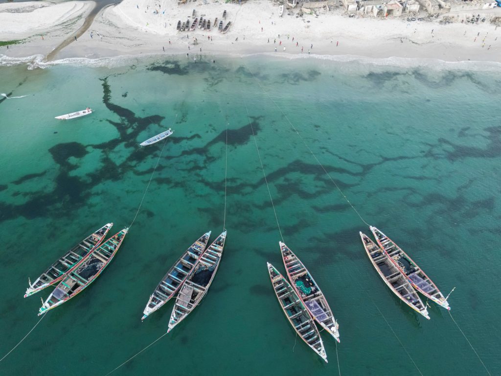 بلومبيرغ: روسيا تتجه إلى استغلال ثروات أفريقيا السمكية