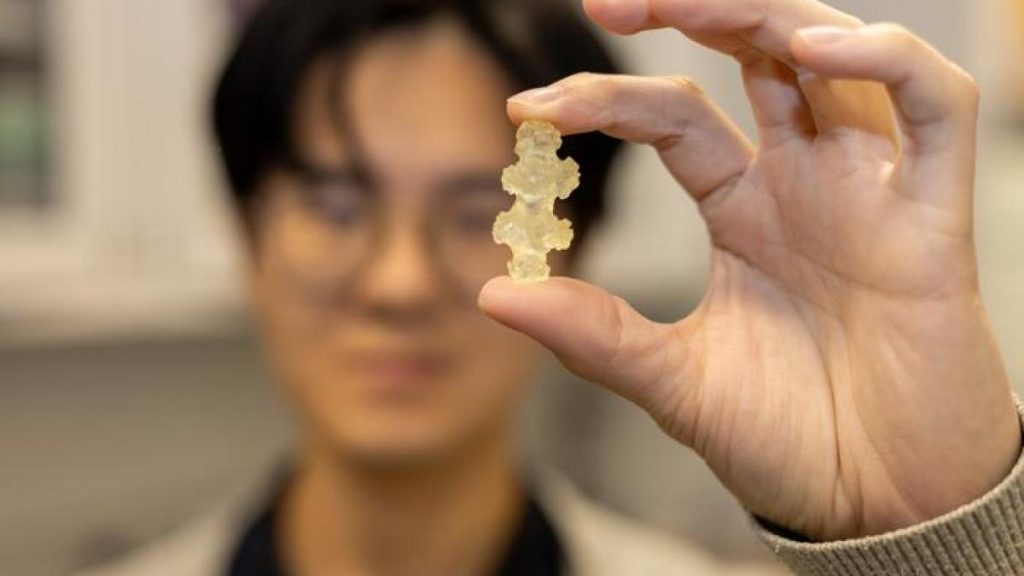 الشعاب المرجانية تلهم العلماء لتصميم أدوات جراحية مرنة ودقيقة