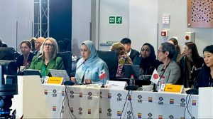 ضمن مجموعة العشرين في جنوب أفريقيا.. «شؤون الأسرة» يرأس وفد المملكة لمجموعة عمل تمكين المرأة