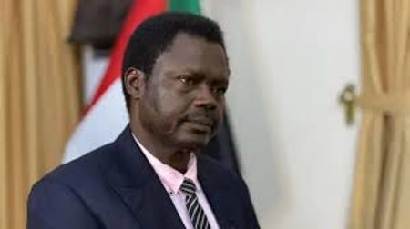 حاكم دارفور: ميليشيا الدعم السريع استخدمت التطهير العرقي في الفاشر