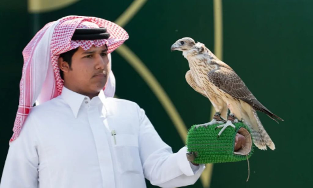 182 صقرًا يتنافسون في سابع أيام "كأس نادي الصقور السعودي"