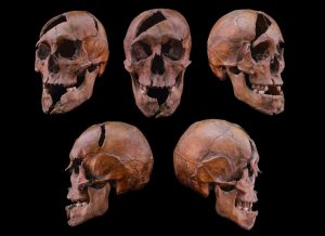 بعد 700 سنة.. العلم يحل لغز جريمة هزّت البلاط الهنغاري