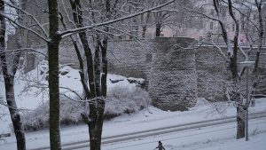 فيديو- الثلوج تغمر تالين قبيل رأس السنة وسط تحذيرات من صعوبة التنقل