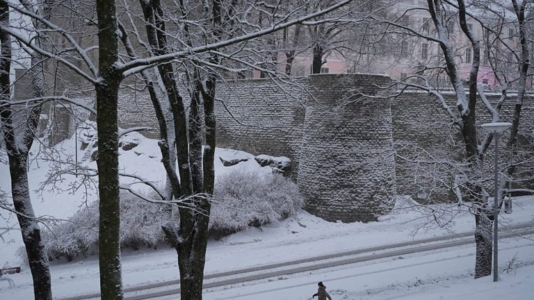 فيديو- الثلوج تغمر تالين قبيل رأس السنة وسط تحذيرات من صعوبة التنقل