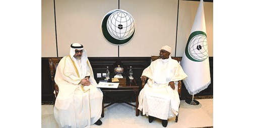 مندوبنا الدائم لدى «التعاون الإسلامي»: حريصون على دعم أنشطة المنظمة لخدمة الشعوب