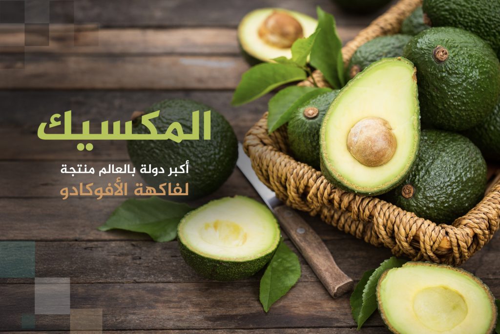 أكبر 10 دول منتجة ومصدرة للأفوكادو بالعالم بينها دولة عربية