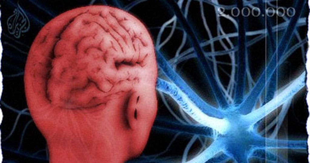 دراسة تكشف مفاجأة: الدماغ يبقى في مرحلة المراهقة حتى أوائل الثلاثينيات