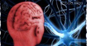 دراسة تكشف مفاجأة: الدماغ يبقى في مرحلة المراهقة حتى أوائل الثلاثينيات