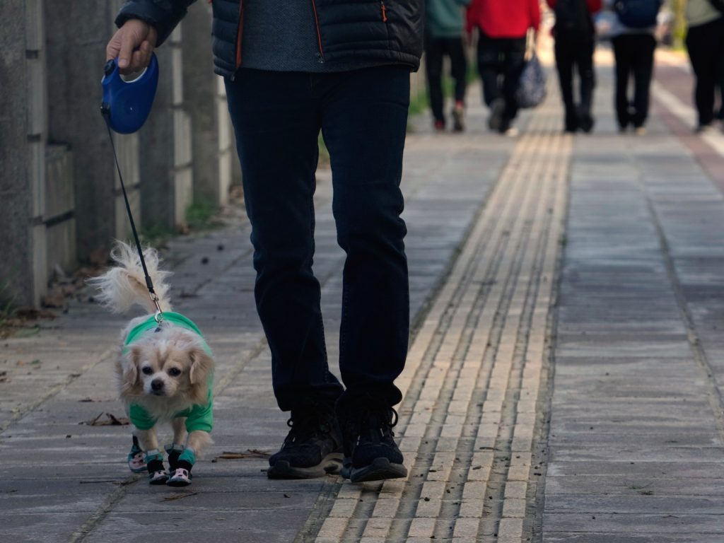 كيف تجعل الكلاب أصحابها أكثر تعاطفا وانفتاحا على الآخرين؟