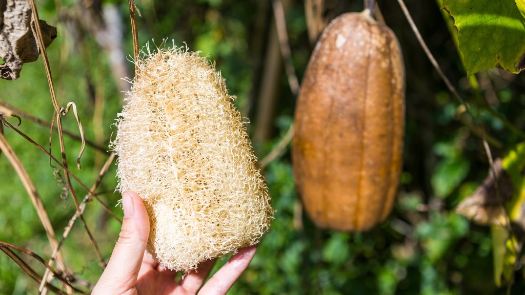 “ليفة صينية” قادرة على إخفاء الطائرات الحربية تثير الجدل بالمنصات