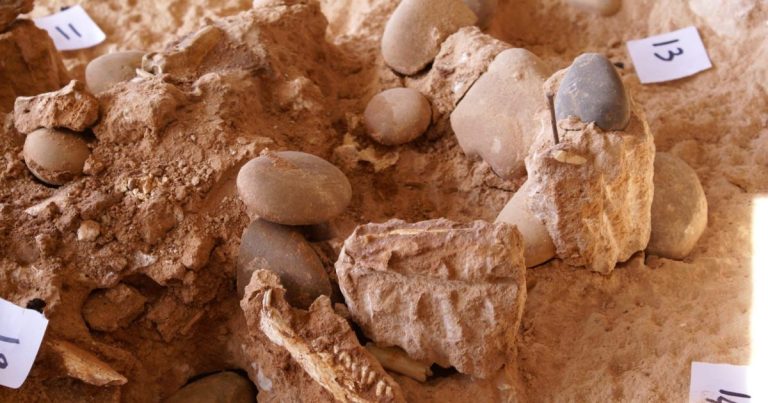 اكتشاف “بقايا بشرية” عمرها 773 ألف سنة في الدار البيضاء