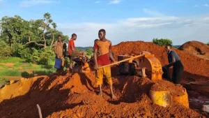 غرب أفريقيا.. كنز الذهب العالمي الجديد – أخبار السعودية