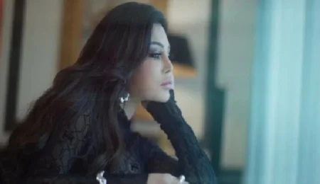 فيديو هيفاء وهبي المفبرك أمام «النيابة».. اليوم – أخبار السعودية