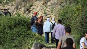 “رؤى خضراء”.. مشروع لتمكين 500 ألف شاب عربي في مواجهة التغير المناخي