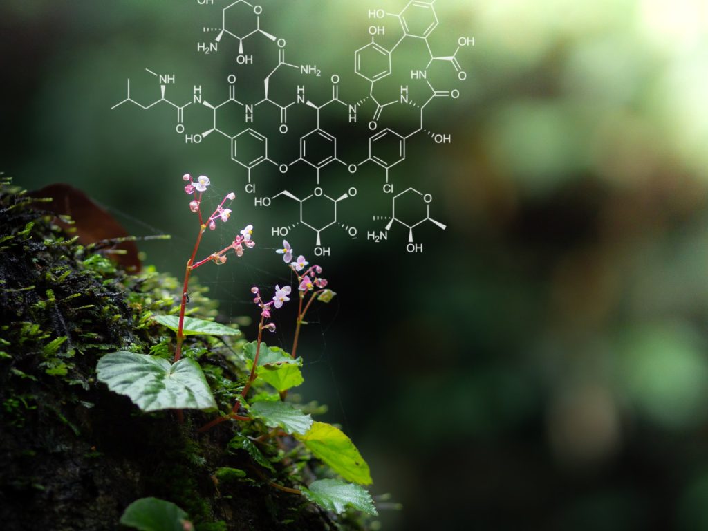 كيف أمسك العلماء بـ”يد الجزيء” الصحيحة بعد 80 عاما من الحيرة؟