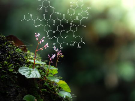 كيف أمسك العلماء بـ”يد الجزيء” الصحيحة بعد 80 عاما من الحيرة؟