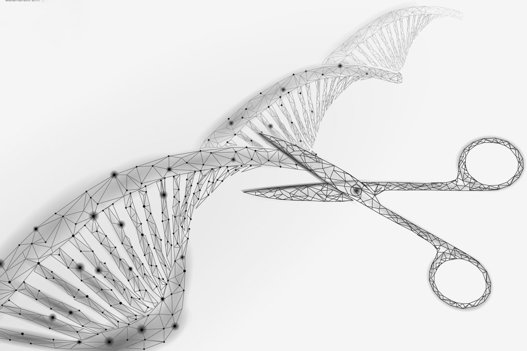 “الطمطاطو”: هل يستمر العلماء في العبث بجينات النباتات؟
