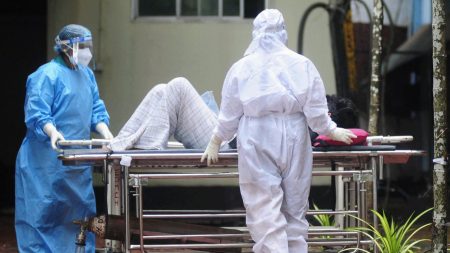 فيروس “نيباه” في الهند.. هل يواجه العالم جائحة جديدة؟ تفاعل واسع للمغردين