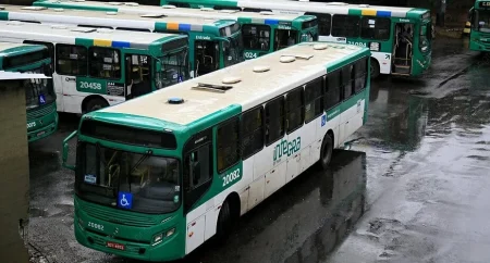 دعم مالي لحافلات وشاحنات هذه الدولة لمنع ارتفاع الأسعار – أخبار السعودية