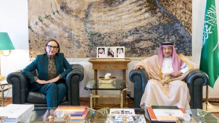 نائب وزير الخارجية يلتقي مرشحة أمين عام الأمم المتحدة لتعزيز التعاون الدولي