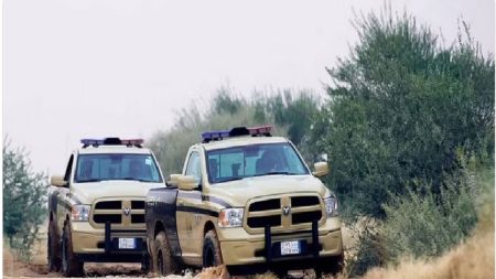 الأمن البيئي يضبط مواطنًا يخزن حطبًا محليًا بالرياض