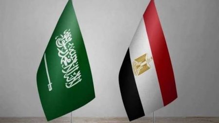 دور مصر الحاسم في دعم المملكة ضد الحوثيين